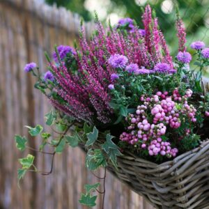 atelier création jardinière d’hiver à wilder