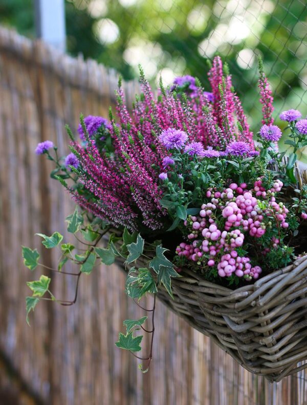 atelier création jardinière d’hiver à wilder