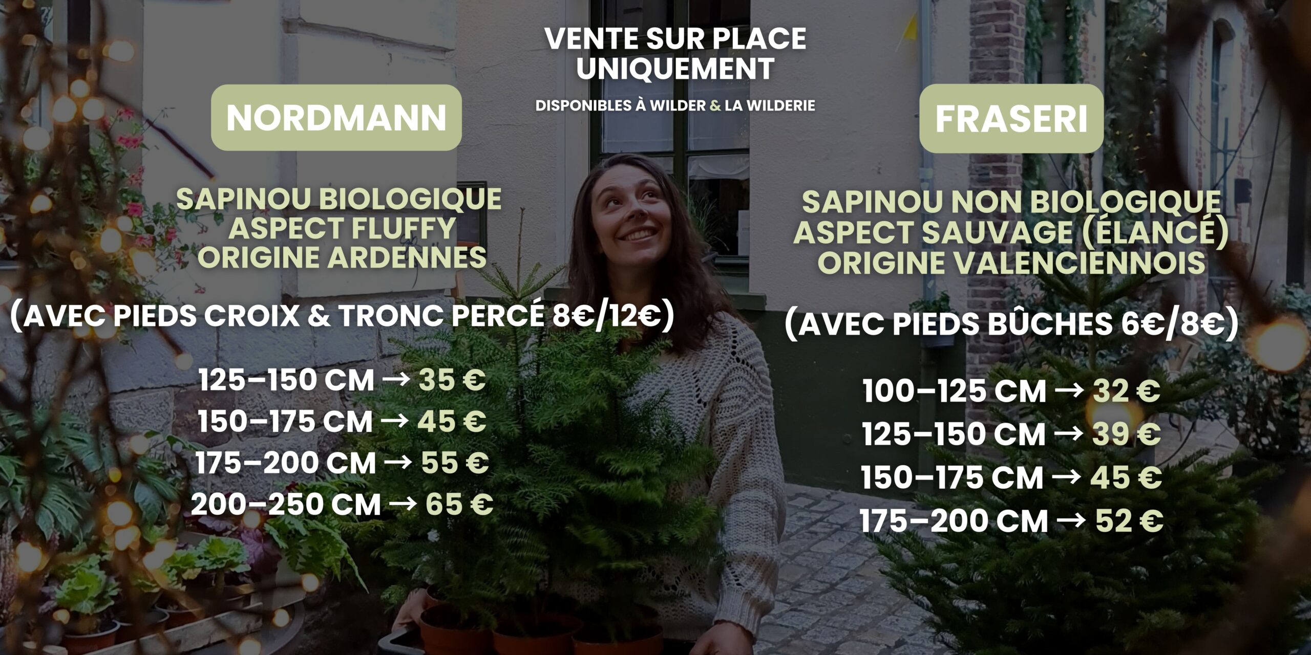 sapins locaux à la Wilderie