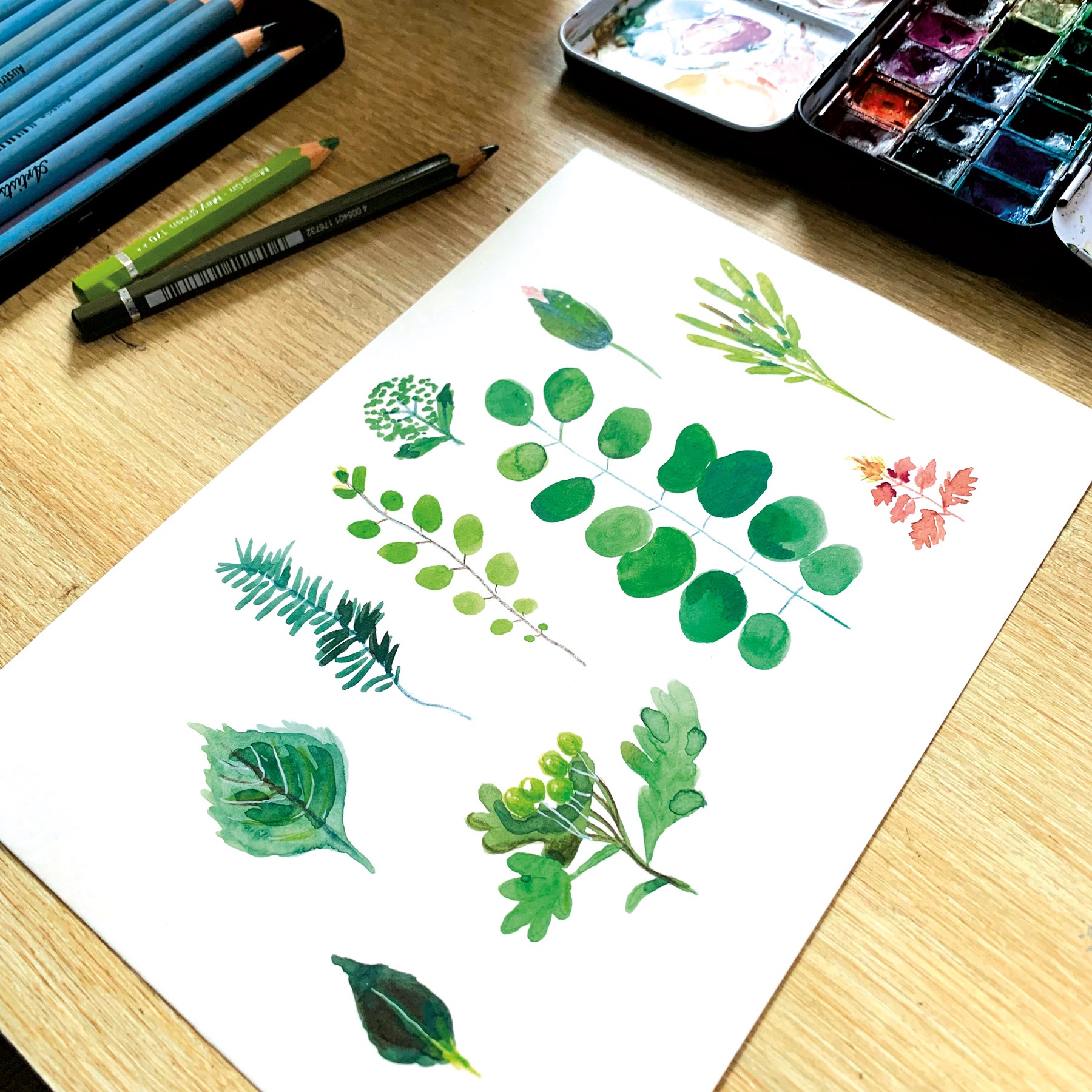 herbier-aquarelle