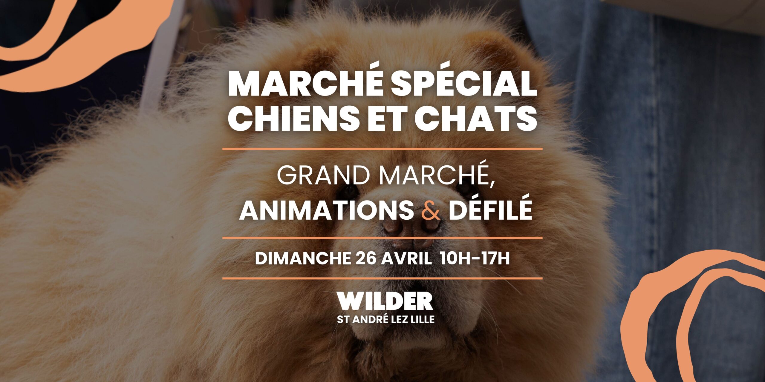 Banderole event Site web-6